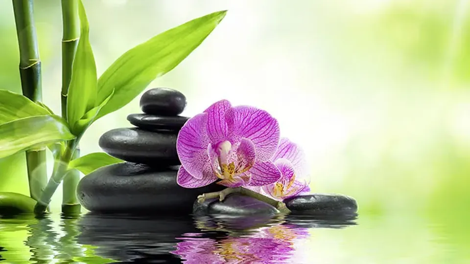 Yoga Thailandese